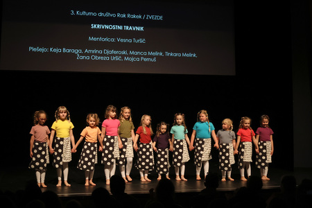 PREPLESAVANJA 12 FOTO LJUBO VUKELIČ